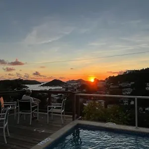 The Iguana Charlotte Amalie